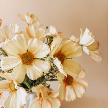 the ‘sunshine’ posy