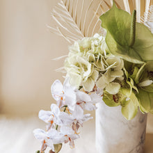 the ‘luna’ arrangement