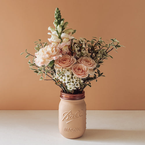 bloomjar in biscotti ~